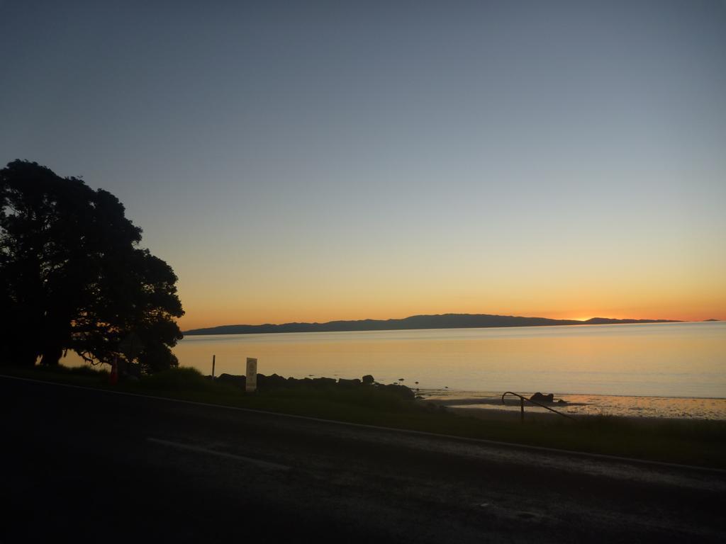 Pohutukawa Coast Bnb Te Puru Exterior foto
