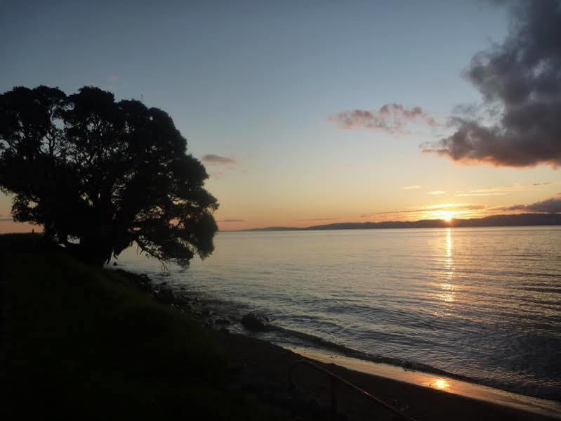 Pohutukawa Coast Bnb Te Puru Exterior foto
